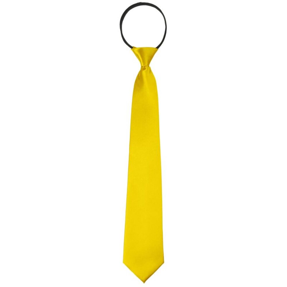 Zipper Ties Pre-Tied Necktie Satin Shine Solid Color Tie Neck Gold